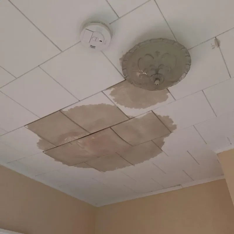 Ceiling Water Damage Repair in White Settlement, TX